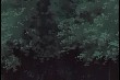 OUTPUT_001124.jpg